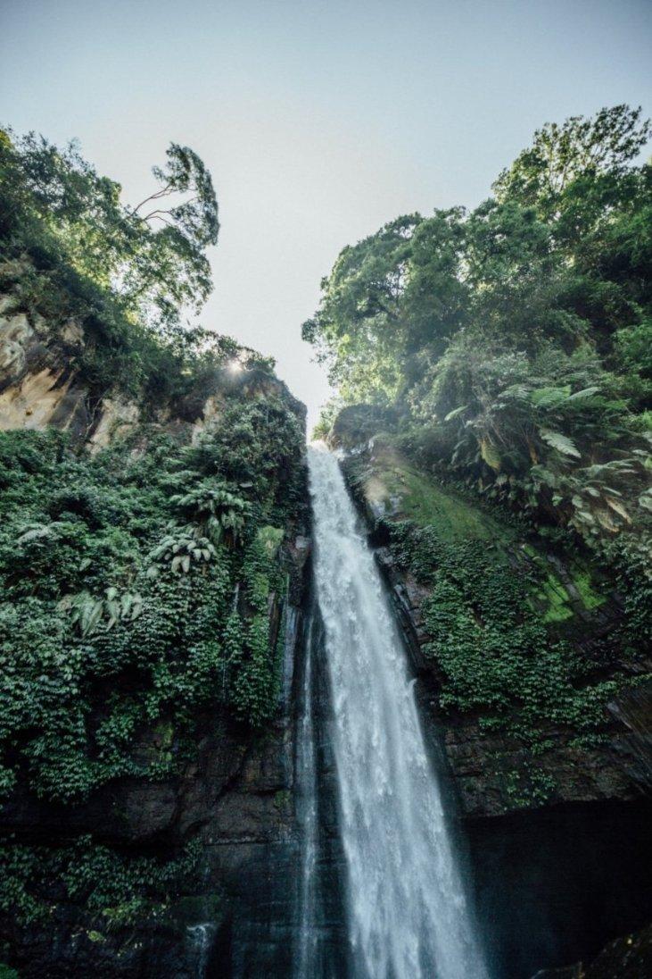 虫虫助手下载